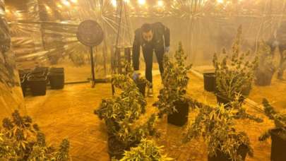 5 katlı iş merkezinin terasını uyuşturucu tarlasına çevirmişler