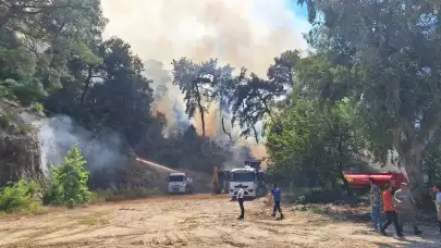 Antalya'da orman yangını! Valilikten ilk açıklama geldi
