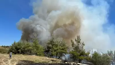 Adana'da orman yangını: Müdahale başladı