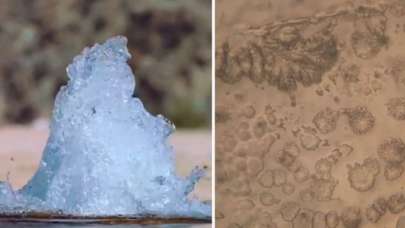 Mikroskop altında zemzem suyunu inceledi! Gördükleri karşısında şaşkına döndü