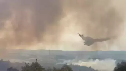 Son dakika: Çanakkale yangınında son durum! Bölgeden acı kareler...