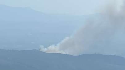 İzmir'de çıkan orman yangınına müdahale ediliyor