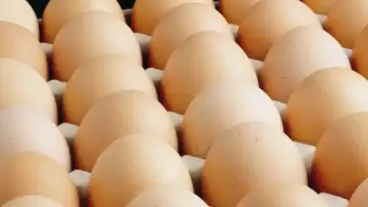 Yaptıkları yanlarına kar kalmadı! Yumurta üreticilerine ceza yağdı