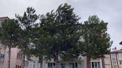 Çerkeş’te sağanak yağış ve fırtına elektrik kesintisini beraberinde getirdi