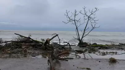 Meteoroloji'den kritik uyarı! Fırtına ve sağanak geliyor