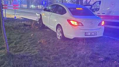 Elazığ’da otomobil aydınlatma direğine çarptı : 1 yaralı
