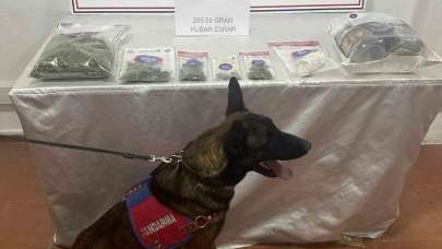 Iğdır’da uyuşturucu madde ele geçirildi