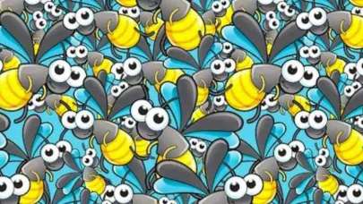 Gizli karıncayı 10 kişiden yalnızca 1'i bulabildi! Zor zeka testi