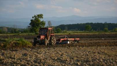 Sinop'ta çeltik ekimine başlandı