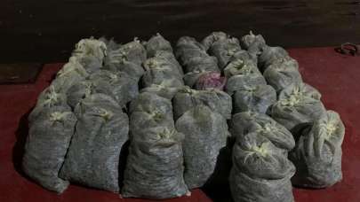 İstanbul'da 8 ton kaçak avlanan midye ele geçirildi