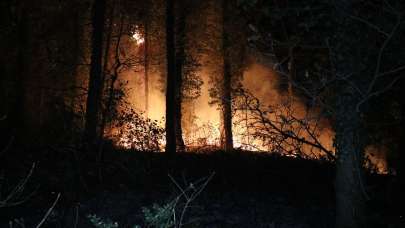 Terör örgütü PKK'nın talimatını almıştı! Müebbet hapse çarptırıldı