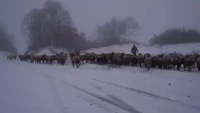 Kar yağışı İstanbul'un kapısına dayandı