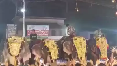 Festivalde fil saldırısı: O anlar kameralarda