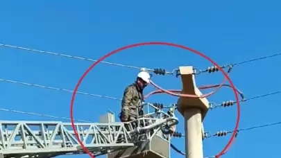 Yüksek gerilim tellerine takılan güvercin kurtarıldı