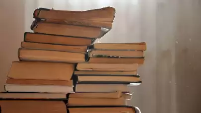 Kitap kurdu nedir ve nasıl kurtuluruz? Kitap kurdu kitaplara zarar verir mi?