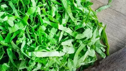 Chiffonade ile yemekleriniz profesyonel dokunuş