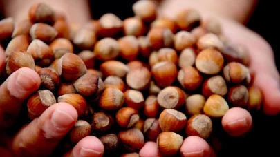 Karadeniz’de fındık piyasası hareketlendi: Giresun zirvede