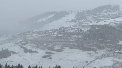 Doğu Karadeniz'in yüksek kesimleri beyaza büründü