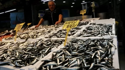 Balıkçı tezgahlarında hamsi ve istavrit 100 liradan satılıyor