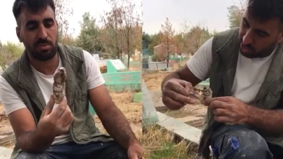 Kefenlenmiş oyuncak bebeği mezardan çıkarıp yaktı