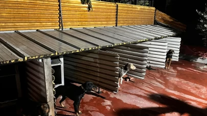 Tepkiye neden olan görüntüler sonrası emniyet harekete geçti