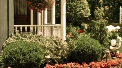 Balkon ve teraslar için en iyi bitki seçimleri ve tasarım ipuçları