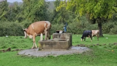 ZONGULDAK'TA SU KUYUSUNDA KADIN CESEDİ BULUNDU