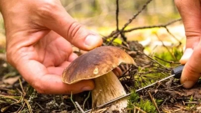 Yağmurla Birlikte Gelen Gizli Tehlike