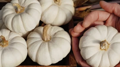 Cilde etkisi şaşırtıyor!