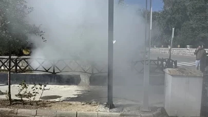 İlaçlama faaliyeti yangın sanıldı