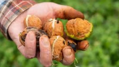 İşte evde uygulanabilecek en basit çözüm