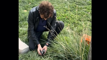 Hakkari’de duyarlı öğretmen ve itfaiyeden örnek davranış: Yaralı güvercin kurtarıldı