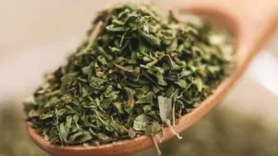 Bu bitki gerçek bir antibiyotik! Mutfaktaki gizli şifa kaynağı ortaya çıktı