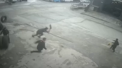 Fareyi süpürgeyle kovaladı, arkadaşı şut çeker gibi tekme attı