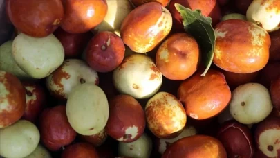 Bağışıklığı güçlendiren ve uyku kalitesini artıran süper meyve