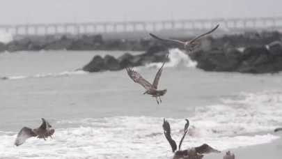 New York kentinde fırtına ve sağanak yağış etkili