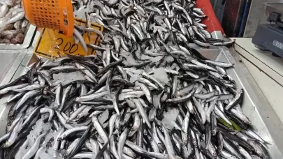 Bartın'da azalan hamsinin fiyatı arttı
