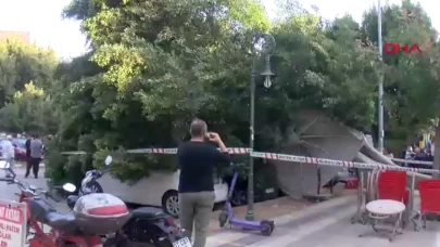 Antalya’da 30 yıllık ağaç park halindeki 5 aracın üzerine devrildi