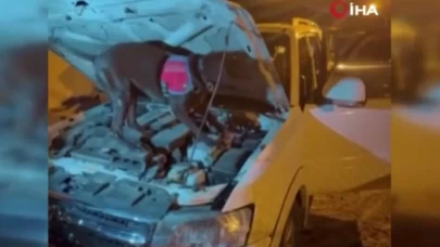 Van’da uyuşturucu ve kaçak malzeme operasyonu: 4 kilo skunk ele geçirildi