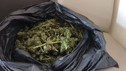 Güvercin kümesinde uyuşturucu ele geçirildi