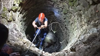 Siirt'te su kuyusuna düşen inek kurtarıldı