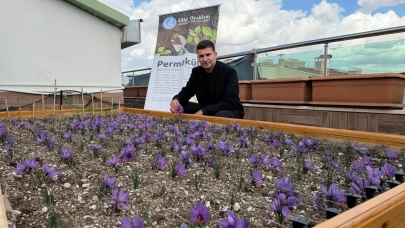 Ahmet Yiğit Yıldırım paylaştı: Safranın bereketi ve huzuru Ülkü Ocakları terasında buluştu