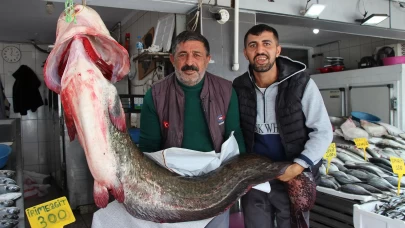 Altınkaya Barajı'nda 85 kiloluk dev yayın balığı yakalandı