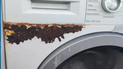 İşte çürümeyi durduran  yöntem