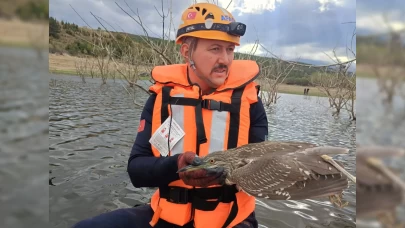 Bursa'da gölette mahsur kalan yabani kuş kurtarıldı