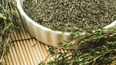 Bir bardak yetiyor! İbn-i Sina’nın sır gibi saklanan yağ yakıcı çayı