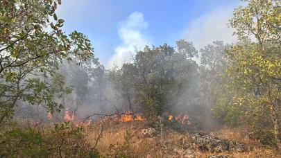 Diyarbakır’da örtü yangını 7 saat sonra helikopter desteğiyle söndürüldü