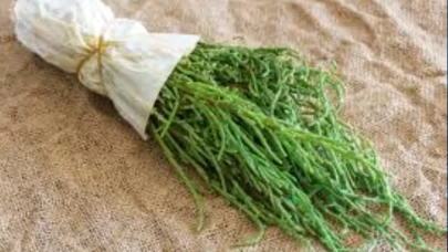 Deniz börülcesi neden bu kadar faydalı? Bilim kanıtladı