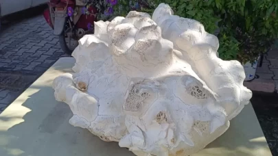 Konya'da 19 kiloluk dev mantar şaşkınlığı