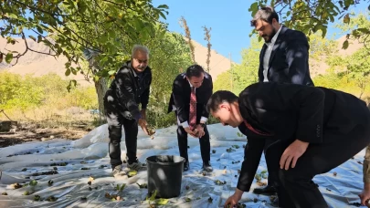 Vali Ahmet Karakaya ceviz hasadına katıldı